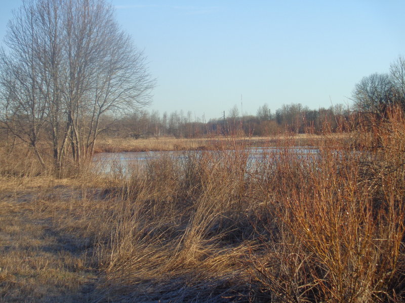 DSC06334.JPG