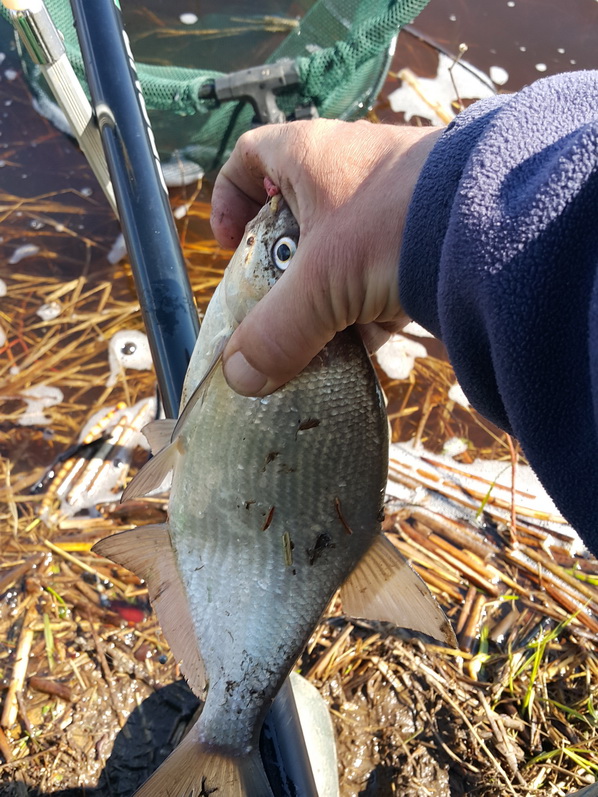 20160430_115659.jpg