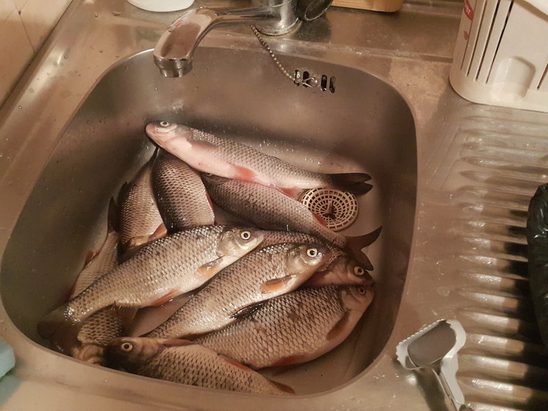 20160430_215640.jpg