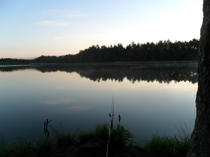 SAM_0634.JPG