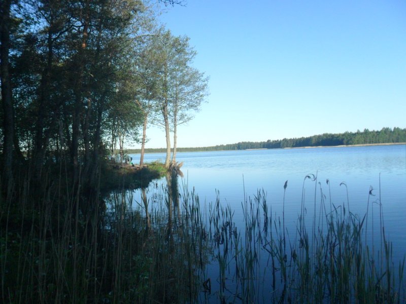 SAM_0637.JPG