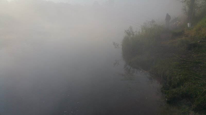 20160520_061122.jpg