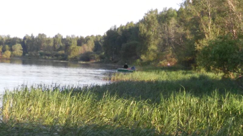 20160523_195202.jpg