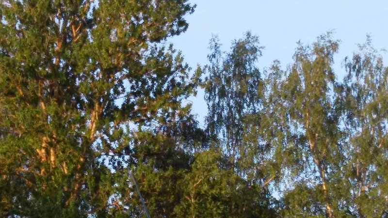 20160523_205205.jpg