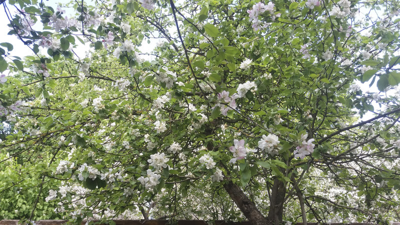 20160519_144237.jpg