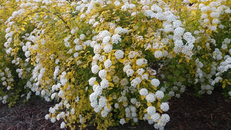 20160529_202728.jpg