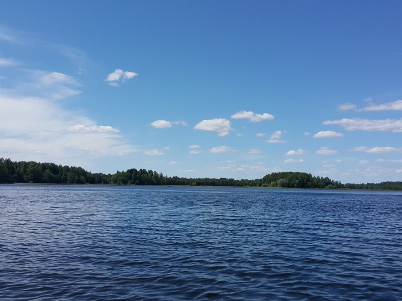 04 июня, Паункюла1.jpg