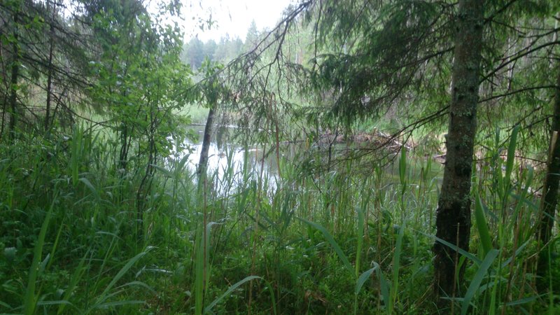 IMG-20160608-WA0005.jpg