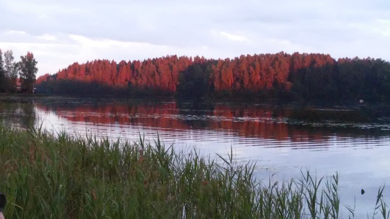 20160628_222347.jpg
