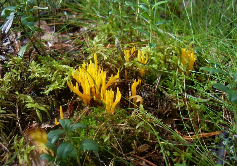 SL381880.JPG