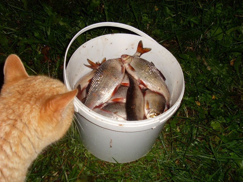 4.JPG
