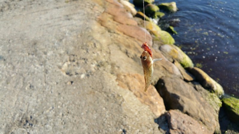20160927_152949_022-03.jpeg