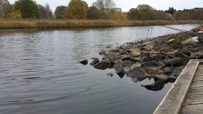 20161015_1442140.jpg
