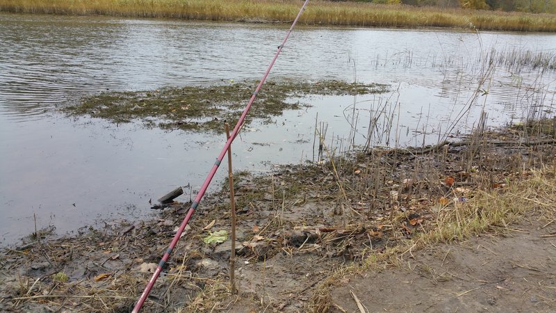 20161015_1345040.jpg