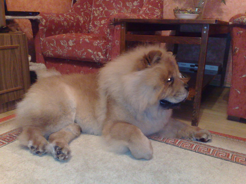 27032010823.jpg