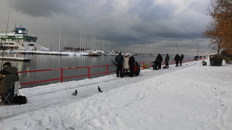 20161105_121118.jpg