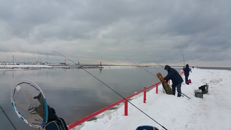 20161112_124732.jpg