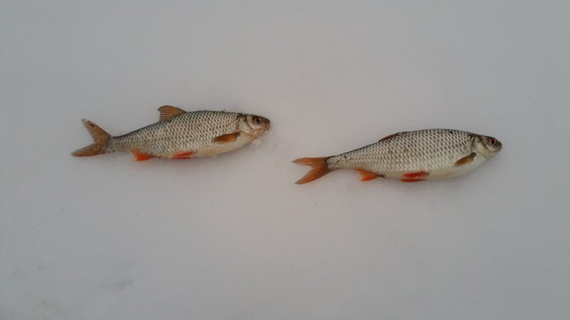 20161113_160203.jpg