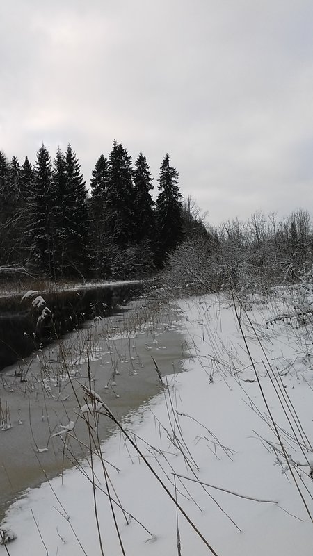 20161203_110147.jpg