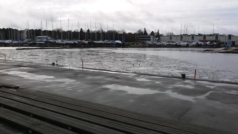 20161209_113804.jpg