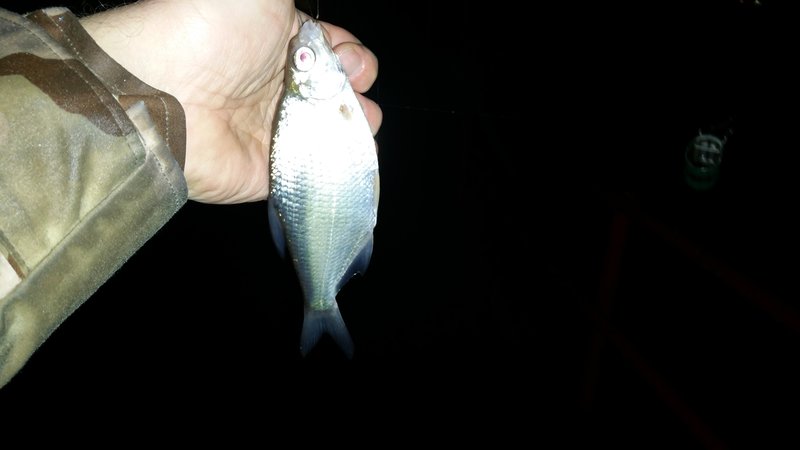 20161209_165453.jpg