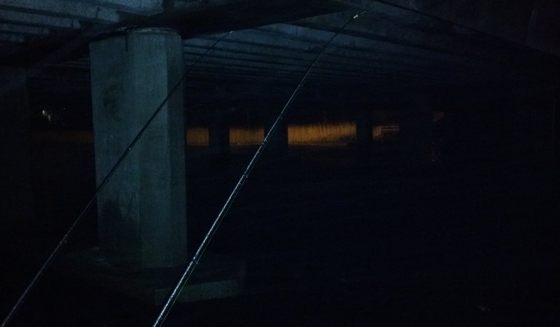 20161209_164700-0.jpg