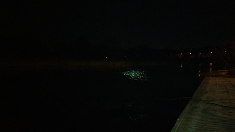 20161210_180743.jpg