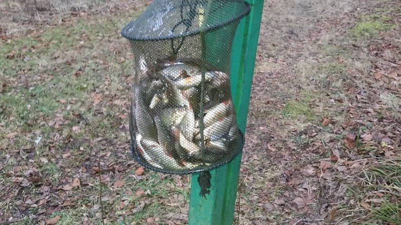 20161231_141822.jpg