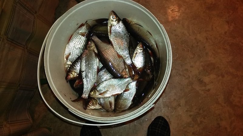 20161225_164326.jpg