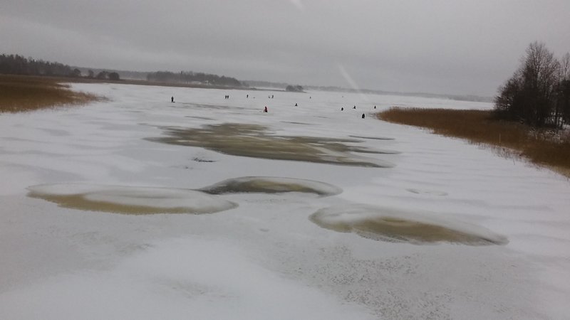 20170107_132949.jpg