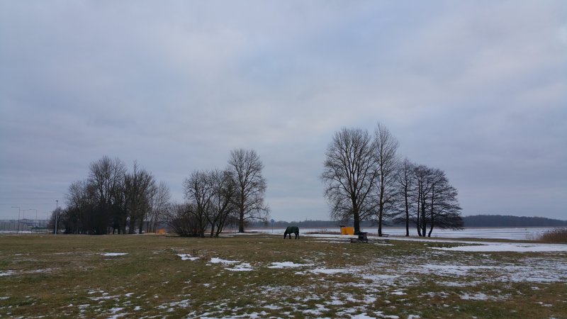 20170114_111426.jpg