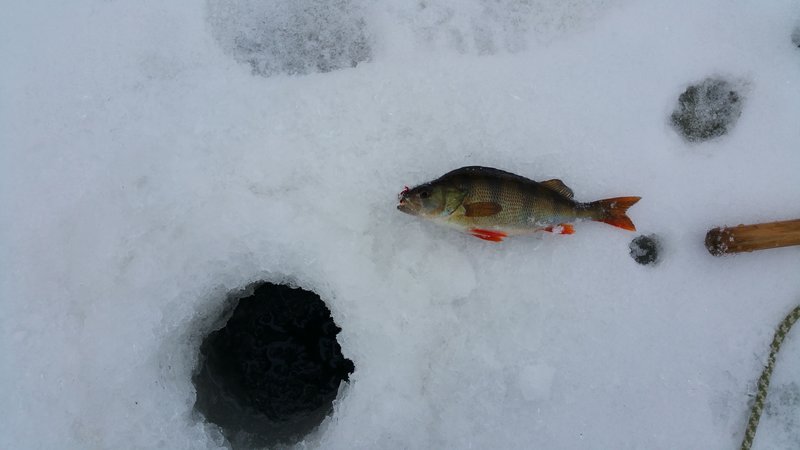 20170114_124317.jpg