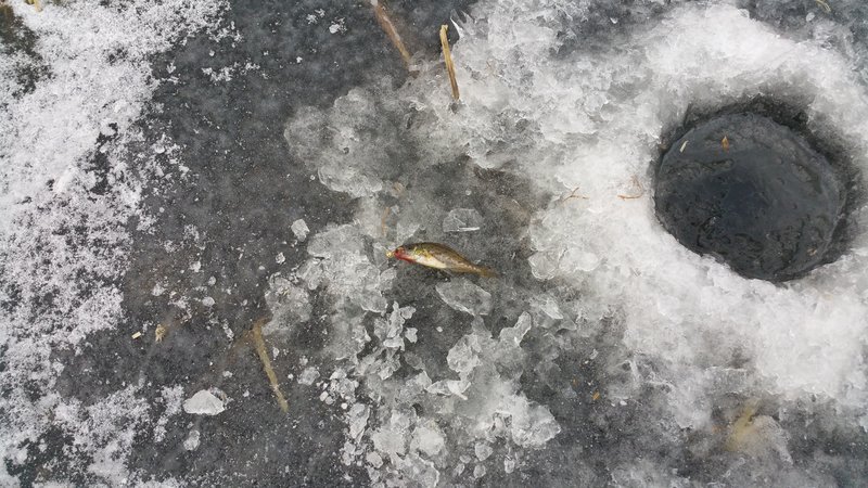 20170125_145613.jpg