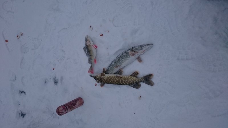 DSC_0192.JPG