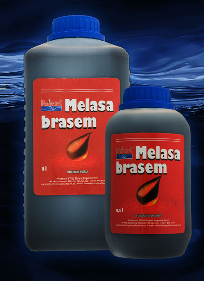 melasabrasem1.jpg
