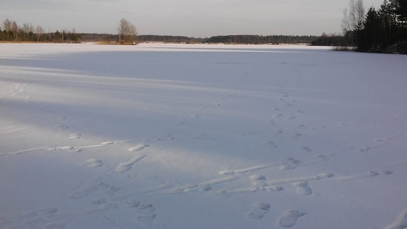 20170216_151730.jpg