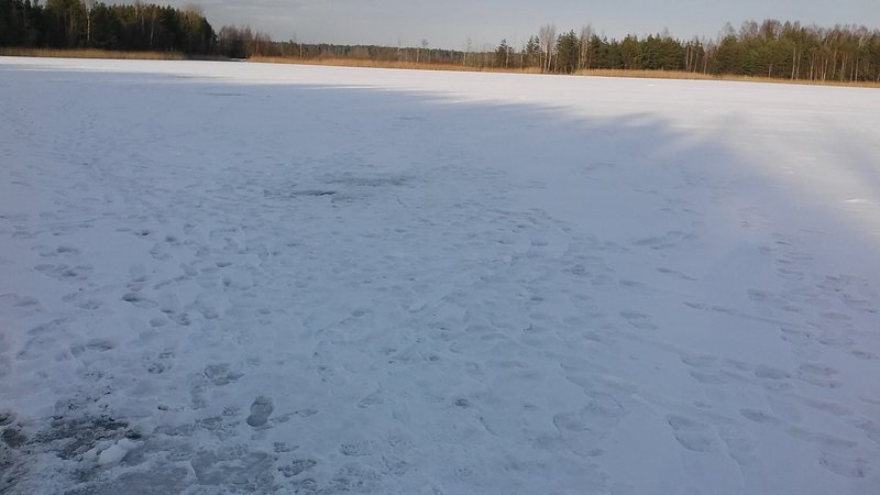 20170216_151724.jpg