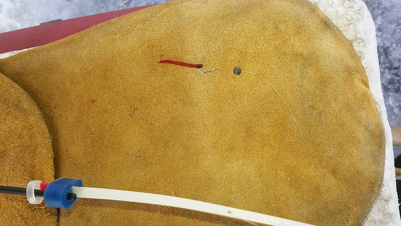 20170216_151704.jpg