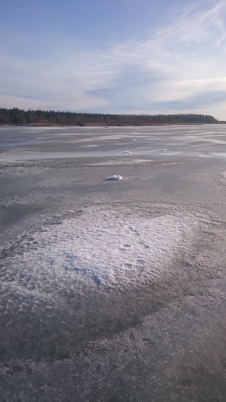 DSC_0194.JPG