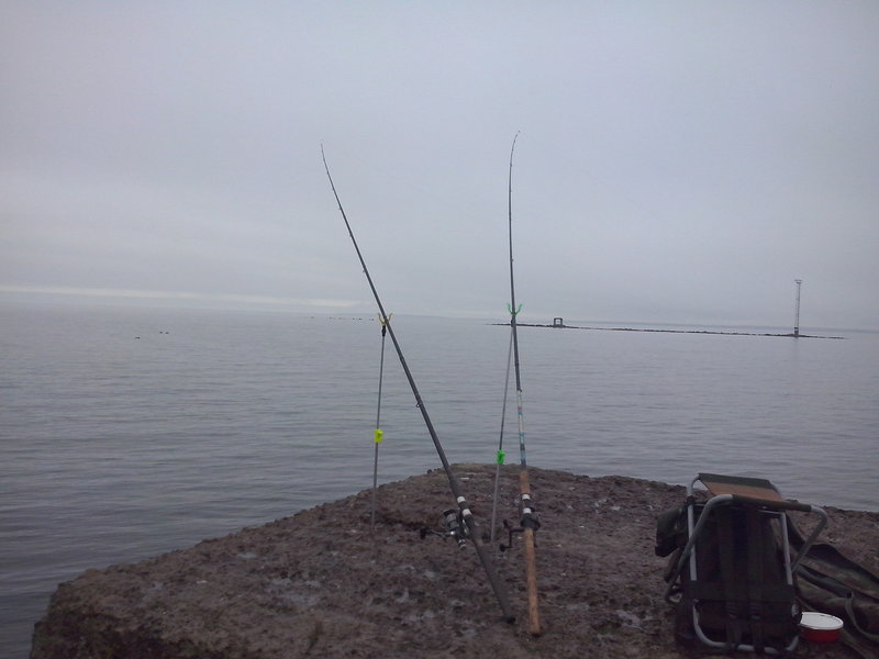 CAM00466.jpg