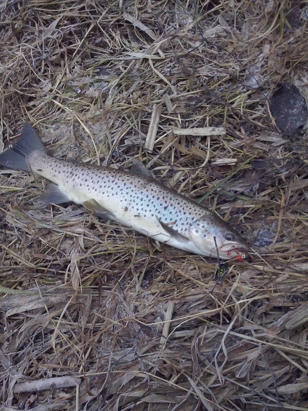 CAM00469.jpg