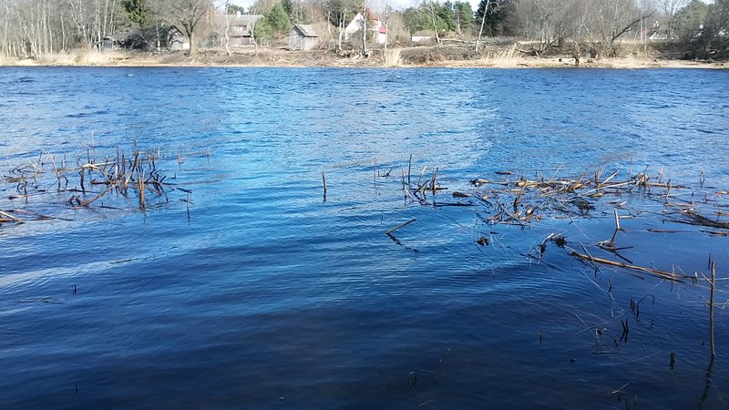 20170328_141619.jpg