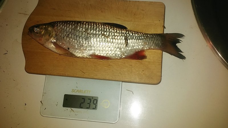 20170509_214633.jpg