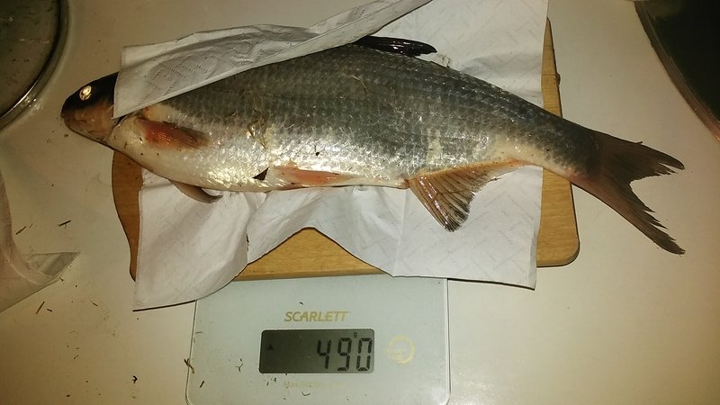 20170509_214315.jpg