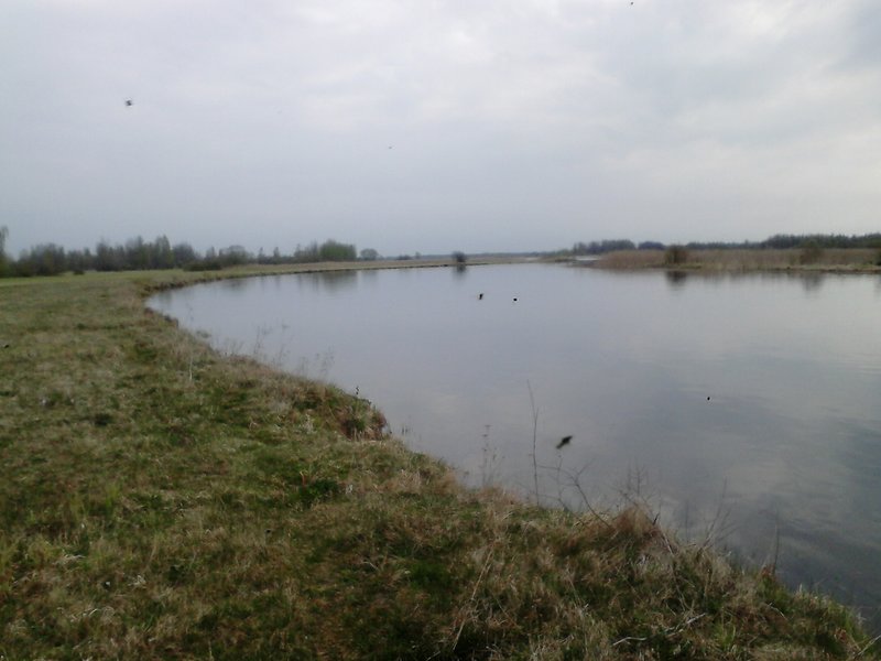 DSC_0053.jpg