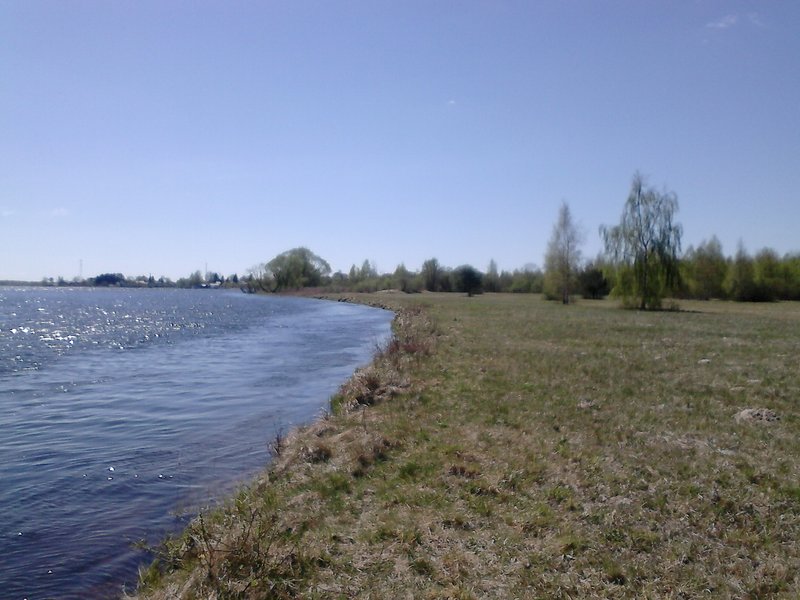 DSC_0067.jpg