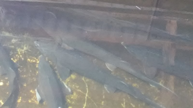 20170702_194641.jpg