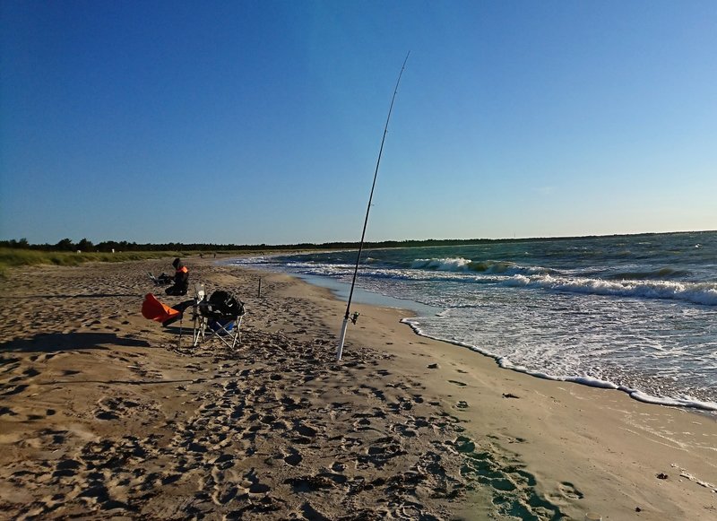 DSC_0479.JPG