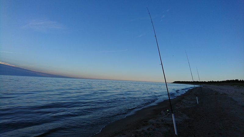 DSC_0590.JPG