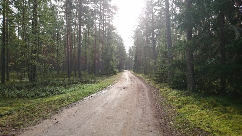 DSC_1014.JPG